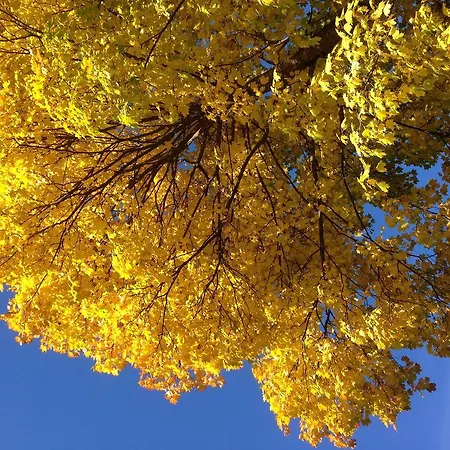 בית נופש Alpenherz *