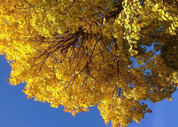 Holiday home Alpenherz *